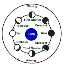 kids science phases of the moon