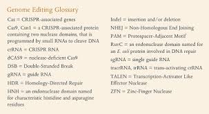 Crispr Cas9 Targeted Genome Editing New Era In Molecular Biology Neb