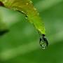 Profile Picture of Crying Out to God: Learning to Lament - Extravagant Hopeon Google
