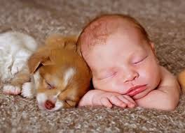 15 Dogs Snuggling With Babies That Are Just Too Adorable Page 3 Of 15 Inspiremore