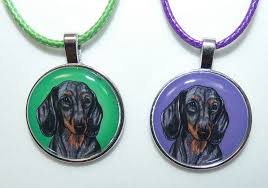 Image result for jezevčík hladkosrstý