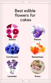 These edible all carry lots of medicinal values, other than taste and flavors. Best Flowers For Cakes Brighton Cakes