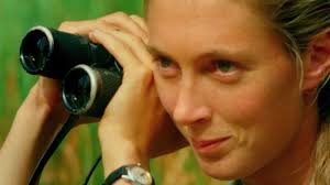 Jane và bầy tinh tinh