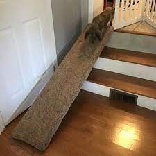 This Was The Perfect Jgabryn Dog Ramp Pet Ramp Dog Ramp Diy
