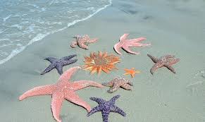 إلا أنها يمكن أن تكون عملا ذا طبيعة بوليسية شديد الحبكة. Ø­Ù‚Ø§Ø¦Ù‚ Ù„Ø§ ØªØ¹Ø±ÙÙˆÙ†Ù‡Ø§ Ø¹Ù† Ù†Ø¬Ù… Ø§Ù„Ø¨Ø­Ø±