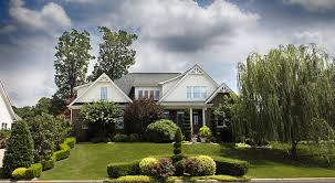 Realize the repellent effect without killing targets snake, spider, scorpion, centipede features it can. Spring Pest Control Tips Pointe Pest Control