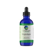 Image result for Cryptolepis products