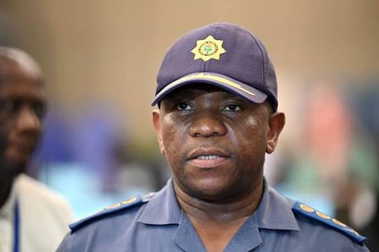 Parliament acts on allegations by Nhlanhla Mkhwanazi