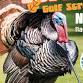 Tough Turkey Scramble event image