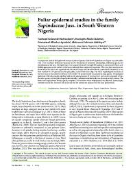 Image result for Zanha golungensis