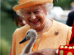 Facts You Didn't Know About Queen Elizabeth II