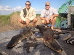 Check spelling or type a new query. Alligator Hunting Winne Texas