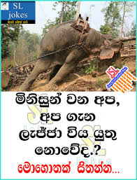 Jayasrilanka.net webpage replied with content in 29.69 (ms). Download Sinhala Joke 303 Photo Picture Wallpaper Free Jayasrilanka Net