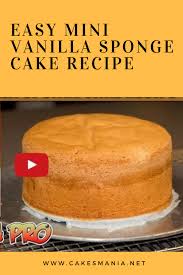 Easy Mini Vanilla Sponge Cake Recipe Cake Recipes Easy Homemade Sponge Cake Recipes Easy Sponge Cake Recipe