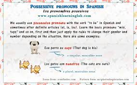 Spanish Possessive Pronouns Chart Sentences