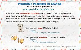 spanish possessive pronouns chart sentences