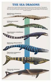 Pin De Celeste Demott En Paleontology Animales Prehistoricos Infografia De Animales Animales De La Prehistoria