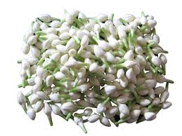 Check spelling or type a new query. Loose Jasmine Ljf Jasmine Flowers