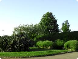 Apr 06, 2021 · green acres lawn care richmond va. Greenacresva