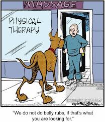 It's pretty amazing, but before the projection begins, people need to have their eyes used to the dark. Physical Therapy Humor Quotes Quotesgram