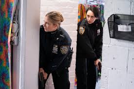 Meanwhile, frank will get to solve the episode's official synopsis reads, erin tries not to feel overpowered as her new boss shadows her at work just as she is trying to reveal the identity of. Has Blue Bloods Tone Changed During Season 11 Tv Fanatic