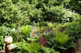 At the north face, the best commuter backpack can tackle it all. Types Of Garden Shade In Pictures Bbc Gardeners World Magazine