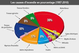 1 Eclosion Et Developpement Du Feu