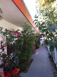 Phone fortunately, blooming events florist was open & was able to fulfill my large floral arrangement request. The Breeze Way Lots Of Gorgeous Plants Many Of Them With Fragrant Blooms Picture Of Casa Larrea Inn Palm Desert Tripadvisor