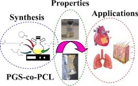 He was quoted as saying Design And Characterization Of Poly Glycerol Sebacate Co Poly Caprolactone Pgs Co Pcl And Its Nanocomposites As Novel Biomaterials The Promising Candidate For Soft Tissue Engineering Sciencedirect