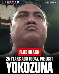 The grave of WWE Hall of Famer and World Champion, Rodney Agatupu Anoa'i  (The Mighty Yokozuna) buried in Los Angeles County, California.