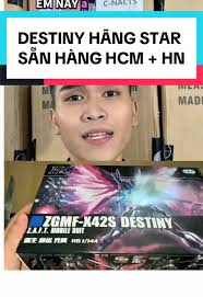 HG 1/144 Mighty Strike Freedom Gundam Model Overview