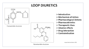 Image result for Loop Diuretic