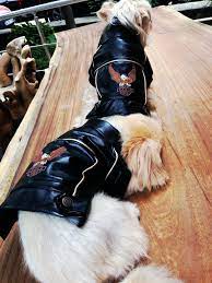 kopek kiyafetleri panosundaki pin