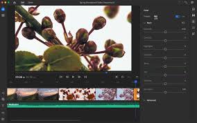 Premiere pro's preset and custom interfaces give access to more features and tools within the click of a 2. Adobe Rush Or Adobe Premiere Which Video Editing Tool Is Right For You