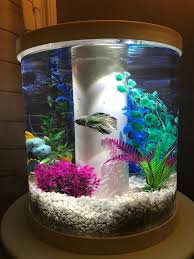 Love Betta Aquarium Diy Fish Tank Fish Tank Themes