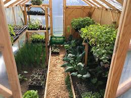 10m2 Diy Gewachshaus Aus Kantholzern Vom Garten Leben In 2020 Garten Gewachshaus Gewachshaus Bauen Gewachshaus