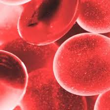 Image result for Monocyte Count