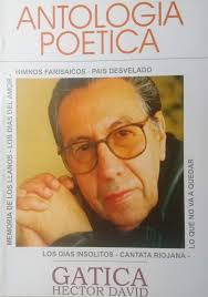 HECTOR DAVID GATICA: Libros Publicados.