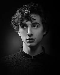 Timothee Chalamet Timothee Chalamet Beautiful Boys Timmy T