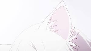 Here in the today's article we will discuss a very small but effective and great matter in which we can look deep and deeper as much as we can. Aesthetic Anime Usernames Otaku Wallpaper