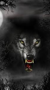 Here you can find the best abstract wolf wallpapers uploaded by our community. Wolf Wallpaper Free Posted By Ryan Simpson