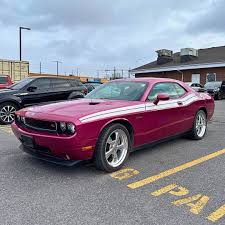 Image result for Furious Fuchsia 2010 Challenger