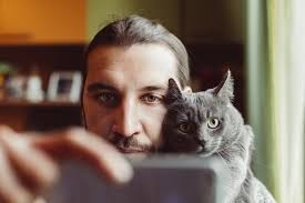 Jenis kucing peliharaan rasullulah ini mudah kita temukan saat ini. Rahsia Kucing Hilangkan Diri Apabila Ajalnya Dekat Sebab Risau Tuannya Sedih Maskulin