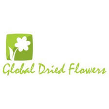 We did not find results for: Global Dried Flowers On Twitter Everlasting Elegance For Your Home Decor Nothing Beats The Magic Of Driedflowers Available For Bulk Order From Global Dried Flowers India S Most Trusted Manufacturer Exporter And