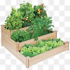 Square Foot Gardening Png Square Foot Gardening Planting