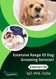 858 likes · 1 talking about this · 81 were here. Hygienic Dog Grooming Services