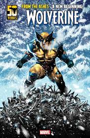 Image result for wolverine