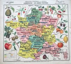 Carte Des Arbres Fruitiers Deyrolle Carte Geographique Geographie