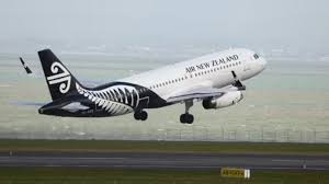 1 cat on 3 flights in 24 hours: Pet left in plane’s cargo reunites with owner