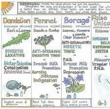 Herbs Table Chart Pdf Herbalism Herbal Healing Herbs